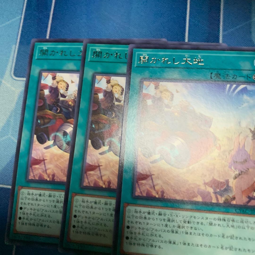 The Open Land Rare JP054