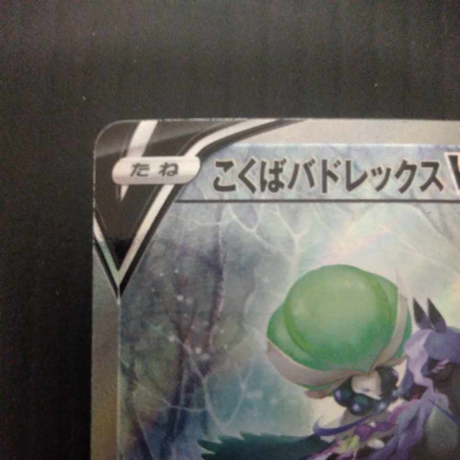 Kokuba Budrex V SR 076/070 sa special art