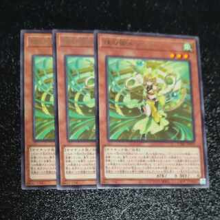 Pearl Miko Furi rare JP019✕3 [Mokurindo