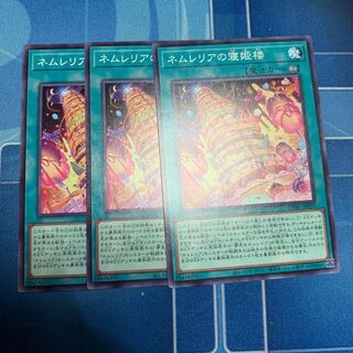 Nemurelia's Sleeping Princess Tower, Normal JP059