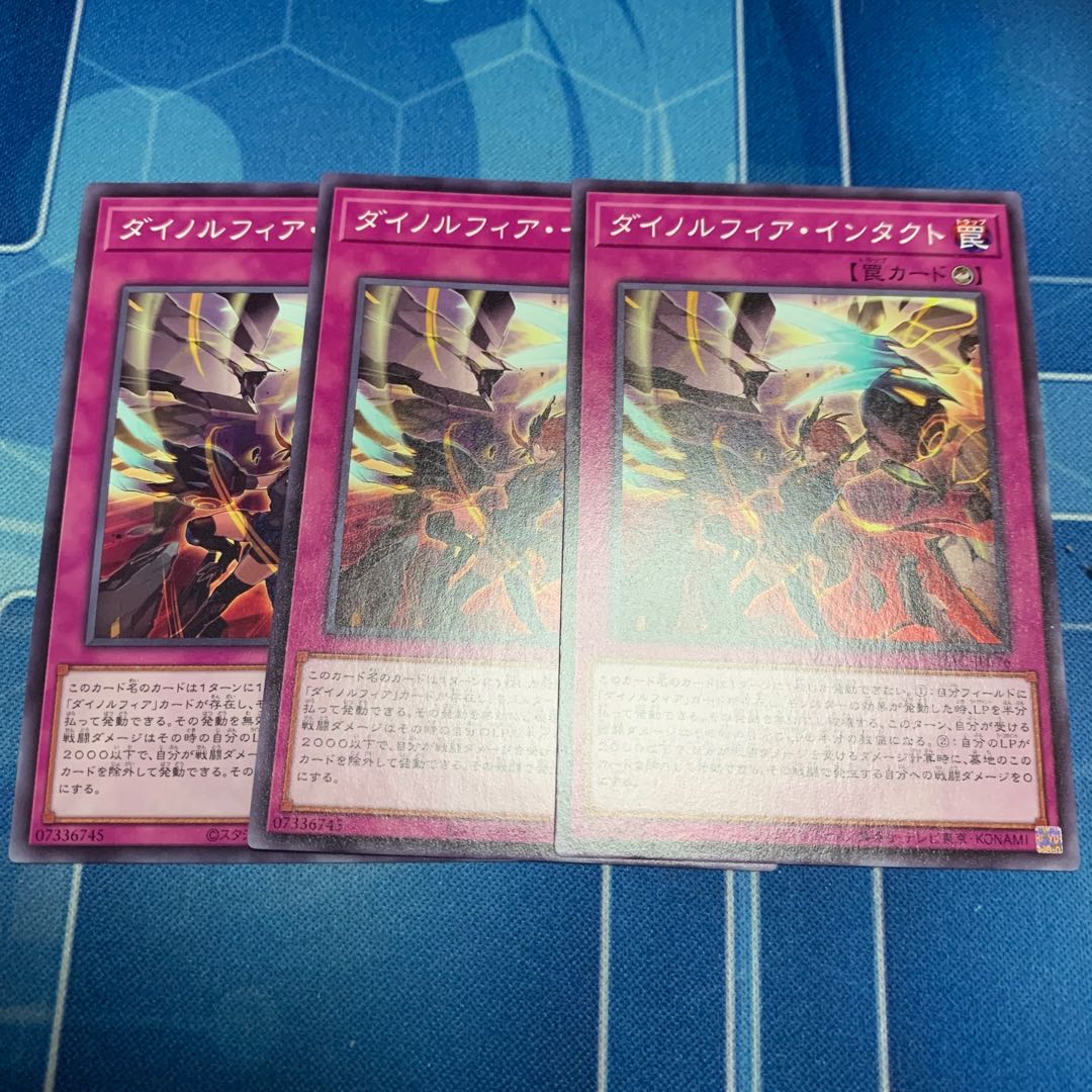 Dynorphia Intact Normal JP076