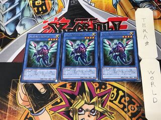 光子竜の聖騎士 LVAL 3 レア 3枚セット てら