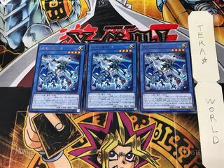 Paladin of Storm Dragon CYHO 1 rare, set of 3 Tera.