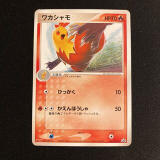 g293 Combusken Meiji Promo Pokémon Treasurer