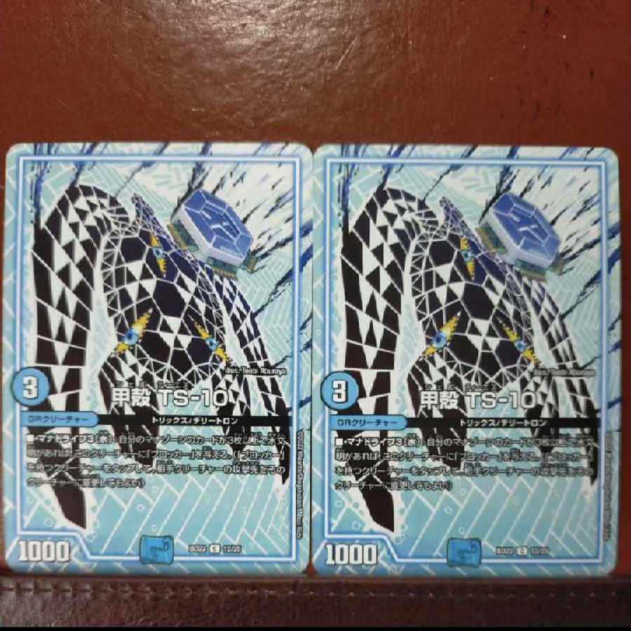 zrn114.116-119.121 set discount Carapace TS-10 C 12/25