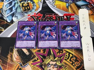 LL-IndipenCilan Nightingale MACR 2 Rare Set of 3 Tera.