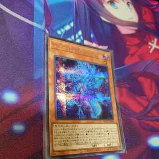 Magicians' Souls Secret Rare JP009