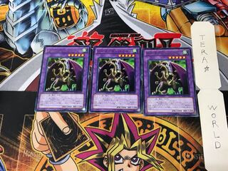 Fiend Skull Dragon BE02 2 Rare Set of 3 Tera.