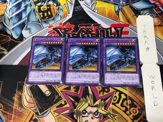Mirror Force Dragon CPD1 3 Rare Set of 3 Tera