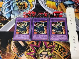 闇魔界の竜騎士 ダークソード RDS 5 レア 3枚セット てら