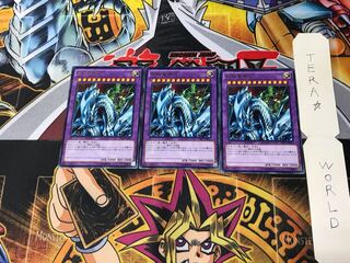 Dragon Master Knight DP17 2 Rare Set of 3 Tera.