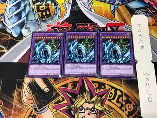 Dragon Master Knight DP17 5 Rare Set of 3 Tera.