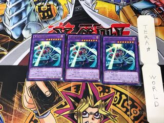 月光舞猫姫 SHVI 2 レア 3枚セット てら