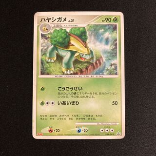 g334 Grotle Meiji Promo Pokémon Treasure