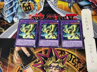 聖霊獣騎 カンナホーク LVP1 2 レア 3枚セット てら