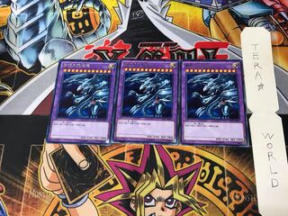 青眼の究極竜 DP17 4 レア 3枚セット てら