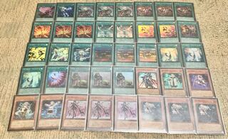 High Rarity Senkohime Deck