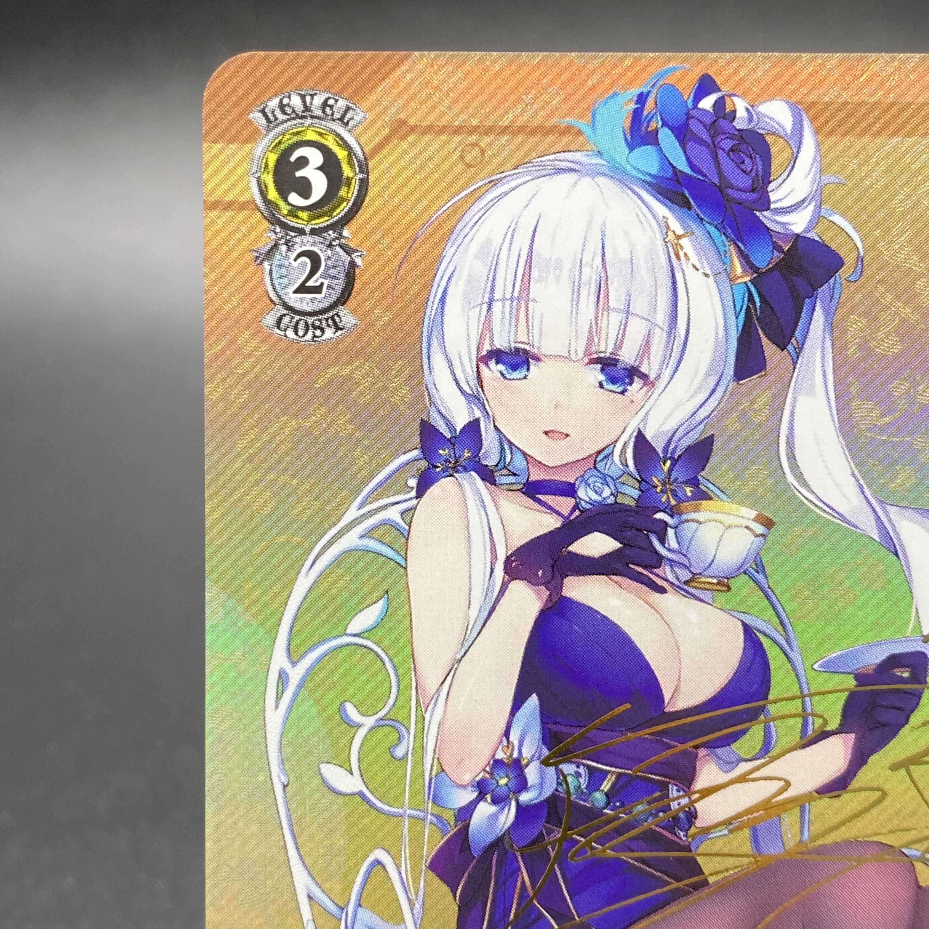 Illustrious (SP) AZL/S102-T355P Signed.