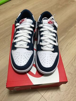 Nike Dunk Low "Valerian Snubbull" 28cm