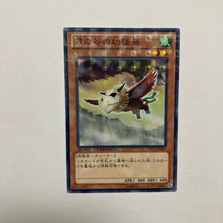 Mist Valley Baby Roc Normal JP069