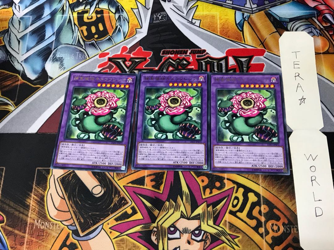 Predaplant Chimerafflesia LVP3 1 rare set of 3 terra