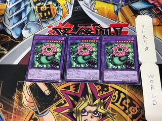 Predaplant Chimerafflesia LVP3 1 rare set of 3 terra