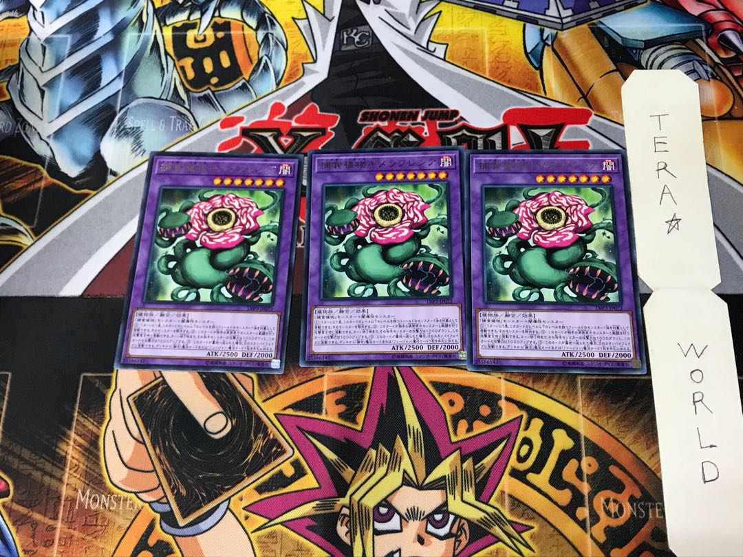 Predaplant Chimerafflesia LVP3 3 Rare Set of 3 Terra