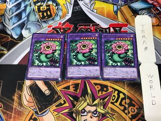 Predaplant Chimerafflesia LVP3 3 Rare Set of 3 Terra