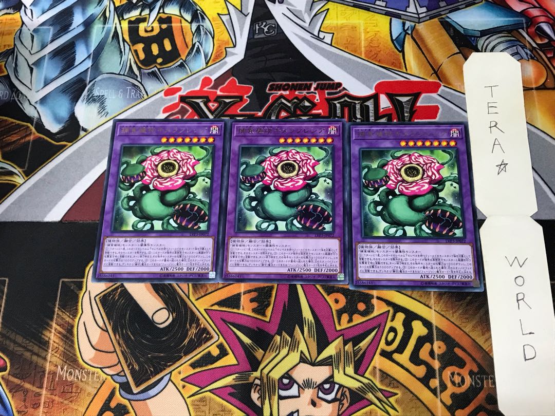 Predaplant Chimerafflesia LVP3 4 Rare Set of 3 Terra