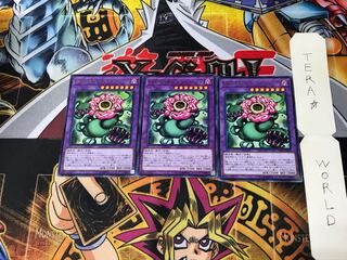 Predaplant Chimerafflesia LVP3 4 Rare Set of 3 Terra