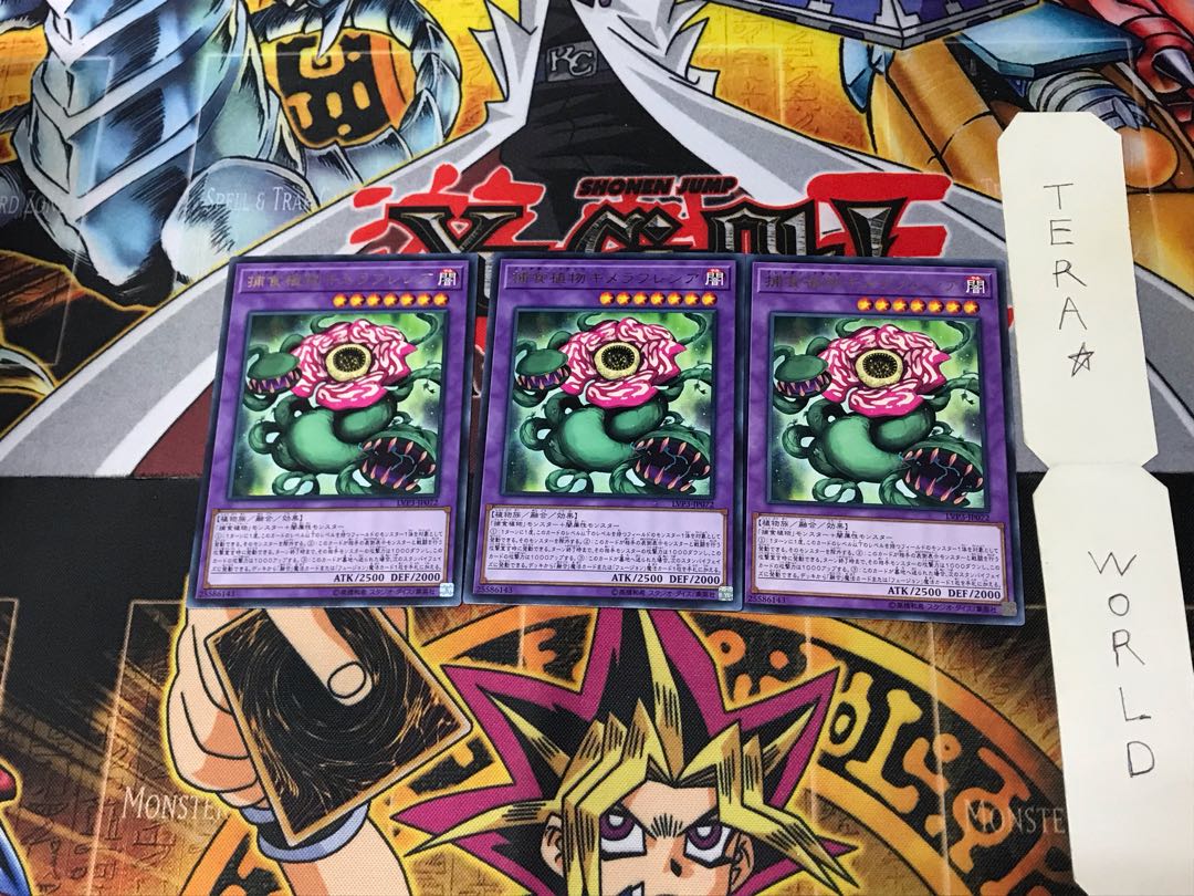 Predaplant Chimerafflesia LVP3 5 Rare Set of 3 Terra