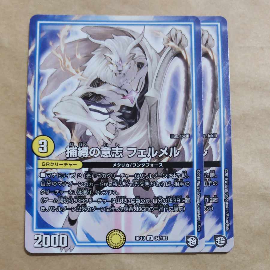 捕縛の意志 フェルメル、発起の意志  ラパエロ