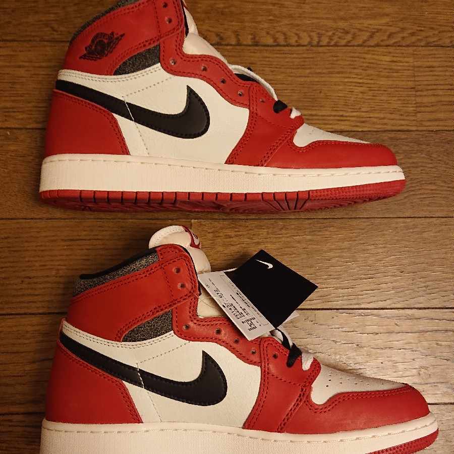 JORDAN 1 HIGH OG CHICAGO LOST&FOUND GS 24.5cm