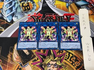 Hip Hoshiningen CYHO 2 rare, set of 3 Tera.