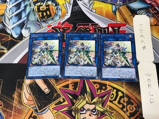 真超量機神王ブラスター・マグナ DANE 2 レア 3枚セット てら