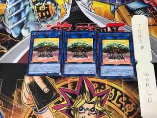 Sunavalon Dryanome SLT1 1 rare set of 3 tera