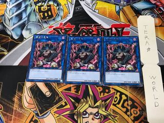 Berserker of the Tenyi RIRA 1 rare set of 3 tera