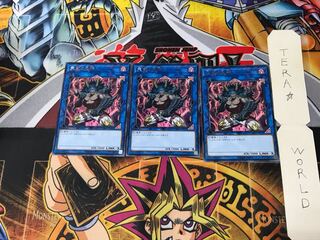 Berserker of the Tenyi RIRA 3 rare, set of 3 Tera.