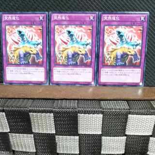 【ぽぽたん】遊戯王  #886  突然進化 3枚 ノーマル