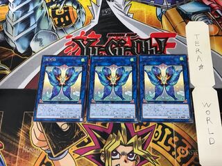 Seraphim Papillion CHIM 2 rare, set of 3 Tera.