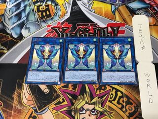 Seraphim Papillion CHIM 3 rare, set of 3 Tera.