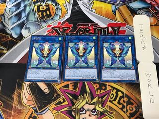 Seraphim Papillion CHIM 4 rare, set of 3 Tera.