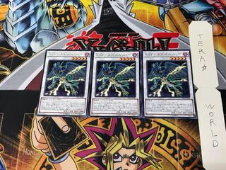 A BF-May Rain Sohaya TDIL 1 Rare Set of 3 Tera.