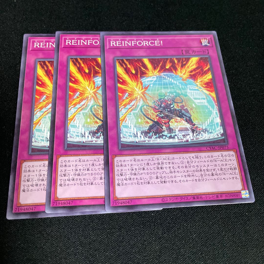 No.788 REINFORCE! Normal JP075