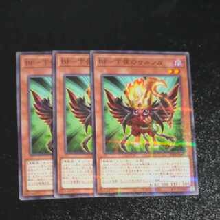 BF Sarunga the Lower String Parallel Normal JP008✕3 [Mokurindo