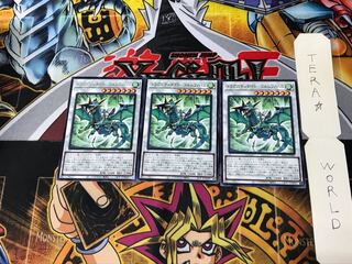 ドラグニティナイト-ゴルムファバル BLVO 5 レア 3枚セット てら