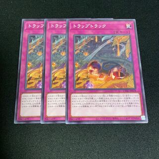 No.806 Trap truck, normal JP078