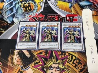 Road Warrior DP09 3 rare, set of 3 Tera.