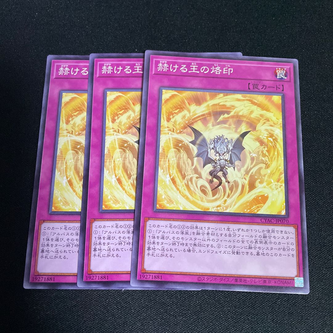 No.808 Brand of the Brilliant King Normal JP070