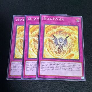 No.808 Brand of the Brilliant King Normal JP070